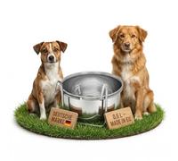 MollyCat Stainless Steel Feeding Bowl 0.6 L with Hook for Cage Attachment - Hanging Dog Bowl & Cat Bowl as Food & Water Bowl for Small Animals and Puppies Made in the EU