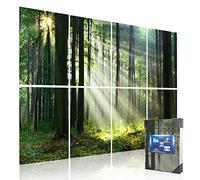Mollywell Art Acoustic Panels, Sound Proofing, Wall Decoration, Suitable for Nature-Inspired Room Soundproofing & Vibrant Aesthetics (Forest Summer), 48x32x0.4 Inch