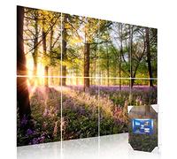 Mollywell Art Acoustic Panels, Sound Proofing, Wall Decoration, Suitable for Nature-Inspired Room Soundproofing & Vibrant Aesthetics (Forest Spring), 48x32x0.4 Inch