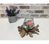 Molten Glass Round Bowl Rustic Driftwood Wood Base Stand Decor Ornament Gift
