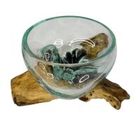 Molten Glass Vase/Bowl on Natural Driftwood Base - Unique Hand-crafted Decorative Terrarium, or Standalone Art Piece