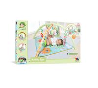 Molto 3 In 1 Activity Gym