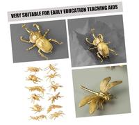 MOLUCKFU 12pcs Realistic Insects Figurine Educational Bug for Early Learning Plastic Material Smooth Surface Safe for Fall Resistant Decorative Models for Cognition Development