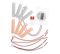 MOLUCKFU 2 Sets DIY Fruit Battery Science Kit for Students Metal Experiment Kit with Potato Zinc-copper Cells Educational Science Learning to Cultivate Skills and Scientific Thinking