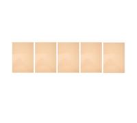 MOLUCKFU Color Gels for Photography Light Color Film PVC Sheets 5Pcs Beige Practical Light Diffuser Filter for Studio and Photo Lighting