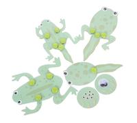MOLUCKFU Frog Learning Kit and Cycle Life Toy for Students - 4pcs Tadpole to Frog Growth Cycle Model Biology Science Learning Supply for Educational Science Experiments