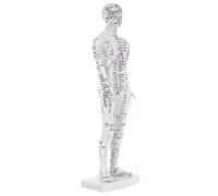 MOLUCKFU Human Acupoint Model Male White Full Body Educational Chinese Teaching Tool Acupuncture Simulation Model with Accurate Pressure Point Labels for Students and