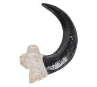 MOLUCKFU Resin Vulture Claw Fossilized Animal Claw Teaching Model, Black, Lifelike Vintage Classic Prop for Classroom Teaching, Collector Display, Science Lovers and Students