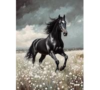 MOMAKA 5D Diamond Painting Kits for Adults Horse, DIY Diamond Painting Full Drill Set, Round Diamond Arts Craft Cross Embroidery Painting Kits for Home Wall Decoration 30x40 cm dp1287