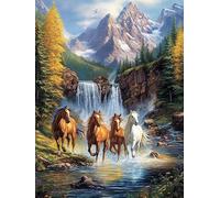 MOMAKA 5D Diamond Painting Kits for Adults Horse, DIY Diamond Painting Full Drill Set, Round Diamond Arts Craft Cross Embroidery Painting Kits for Home Wall Decoration 30x40 cm dp1234