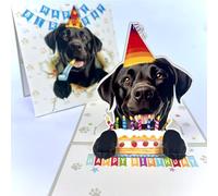 Momapopup 3D Pop-Up Black Labrador Retriever Birthday Card - Cute Dog with Cake Celebration, Whimsical Happy Birthday Greeting for Dog Lovers