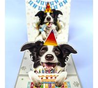 Momapopup 3D Pop-Up Border Collie Dog Birthday Card - Cute Border Collie Dog with Cake Celebration, Whimsical Happy Birthday Greeting for Dog Lovers - Border Collie Dog 3D Birthday Pop Up Cards