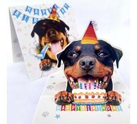 Momapopup Rottweiler Birthday Card 3D Pop Up - Rottweiler Dog with Party Hat & Birthday Cake, Funny Birthday Card for Rottweiler Lovers, Rottie Mom Dad Gift, 6x6 Inch, Includes Envelope