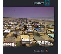 Pink Floyd – A Momentary Lapse of Reason – Vinyl