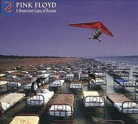 Momentary Lapse of Reason by Pink Floyd (Record, 2021)