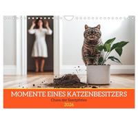 Moments of a cat owner - Chaos of the velvet paws UK-Version (Wall Calendar 2026 DIN A4 Landscape), CALVENDO 12 Month Wall Calendar