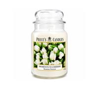 Moments To Cherish Large Jar Price's Candle