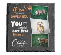 MOMGEGE Pet Memorial Stone for Dogs Cats and All Beloved Animals, Custom Pet Gravestone Tombstone Plaque, Sympathy Keepsake for Pet Loss