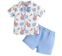 Momkonzz Toddler Baby Boys Easter Outfits Little Boys Rabbit Short Sleeve Shirt and Shorts Clothes Set 2Pcs Clothing 2-3 Years