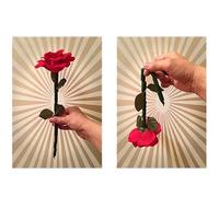 MOMOMAGE The Breakaway Flower Magic Tricks Break Restore Rose Magic Accessories Close up Illusions Gimmicks Comedy Mentalism Props for Magicians