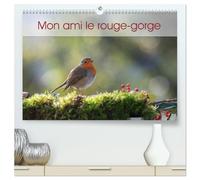 Mon ami le rouge-gorge (Calendrier mural 2026 DIN A2 vertical) calendrier de bureau: Une année de la vie du rouge-gorge