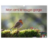 Mon ami le rouge-gorge (Calendrier mural 2026 DIN A3 vertical), CALVENDO calendrier mensuel: Une année de la vie du rouge-gorge