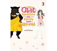 Mon chat à tout faire est encore tout déprimé - Tome 03