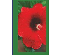 Mon journal: Pour tous ceux qui aiment la Gambie et sa culture