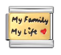 Mon & Sons My Family My Life Love Heart Charm Silver Italian 9mm Link Stainless Steel Bracelet Compatible With Modular 9mm Link