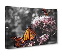 Monarch Butterflies on Pink Flowers No.1 Modern Canvas Wall Art Print Ready to Hang, Framed Picture for Living Room Bedroom Home Office Décor, 24x16 Inch (60x40 cm)