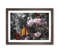 Monarch Butterflies on Pink Flowers No.1 Modern Framed Print | A3 Walnut Framed Wall Art | Ready to Hang | Modern Floral Picture | Living Room Bedroom Lounge Office
