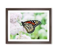 Monarch Butterflies on Pink Flowers No.2 Modern Framed Print | A2 Walnut Framed Wall Art | Ready to Hang | Modern Floral Picture | Living Room Bedroom Lounge Office