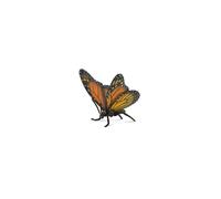 Monarch Butterfly