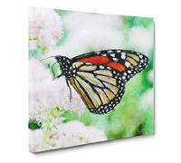 Monarch Butterfly Canvas Print | Gallery Wrapped 30mm Frame Wall Art | 20x20 inches | Ready to Hang | Modern Animals Picture | Living Room Bedroom Lounge Office