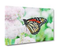 Monarch Butterfly Canvas Print | Gallery Wrapped 30mm Frame Wall Art | 30x20 inches | Ready to Hang | Modern Animals Picture | Living Room Bedroom Lounge Office