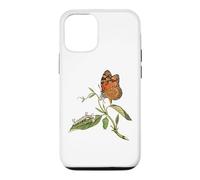 Monarch Butterfly Life Cycle Lepidopterist Case for iPhone 12/12 Pro