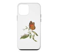 Monarch Butterfly Life Cycle Lepidopterist Case for iPhone 12 mini