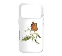 Monarch Butterfly Life Cycle Lepidopterist Case for iPhone 17 Pro