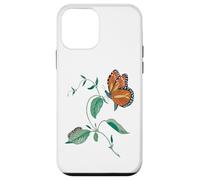 Monarch Butterfly Metamorphosis Cycle Case for iPhone 12 mini