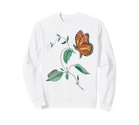 Monarch Butterfly Metamorphosis Cycle Sweatshirt