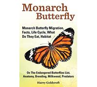 Monarch Butterfly, Monarch Butterfly Migration, Facts, Life Cycle, What Do They Eat, Habitat, Anatomy, Breeding, Milkweed, Predators