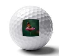 Monarch Butterfly on Flower Novelty Golf Ball Personalised Printed Practice Balls Gifts for Men Women Golfers Father's Day