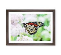 Monarch Butterfly Painting Framed Print | A2 Walnut Framed Wall Art | Ready to Hang | Modern Animal Picture | Living Room Bedroom Lounge Office