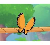 Monarch Butterfly - The Lifecycle of a Butterfly