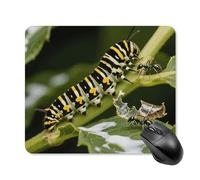 Monarch Caterpillar Mouse Pad Square Laptop Mouse Mat Cute Computer Mousepad Keyboard Pad Non-Slip Desk Pads for Gaming Office Work Home 25 * 30cm