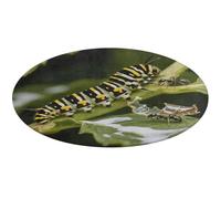 Monarch Caterpillar Round Area Rug Non Slip Backing Doormat Water Absorbent Plush Throw Low-Pile Non-Slip Floor Mat Carpet for Living Room Bedroom Entryway Nursery Room 90 * 90cm