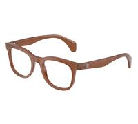 Moncler ME2023 3029 Unisex Optical frames Acetate Brown Transparent Pantos Normal