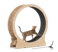 Mondeer Cat Wheel, Cat Exercise for Indoor Cats with Carpeted Runway, 43.3 inch XL Cat Treadmill with Removable Carpet and Cat Teaser, for Running Walking Training (Natural Wood)