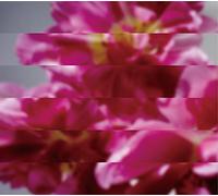 MONDO GROSSO - Nando Demo Atarashiku Umareru