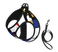 Mondrian Geometric Minimalist Composition No Pull Dog Harness and Leash Set, Cute Reflective Adjustable Vest for Small Dogs,Breathable Mesh Puppy Harness for Walking Hiking,Medium